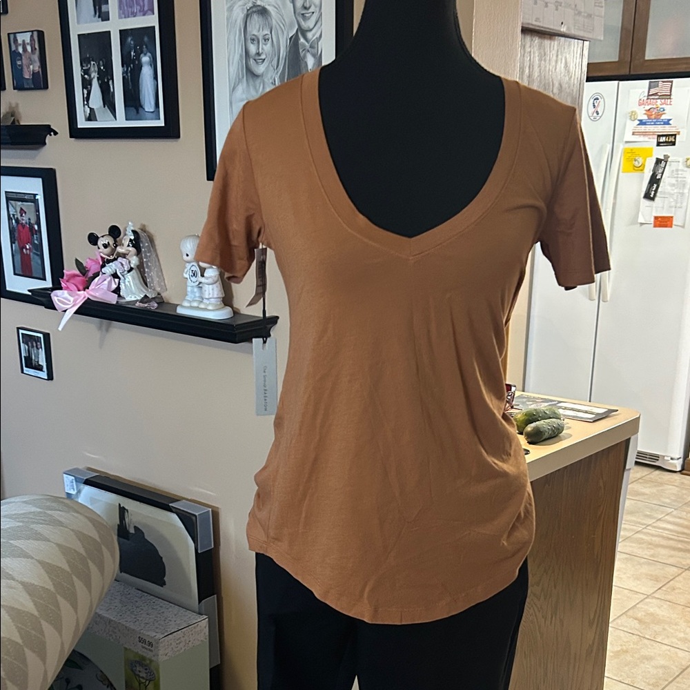 Babaton V-Neck Brown Short Sleeve Top